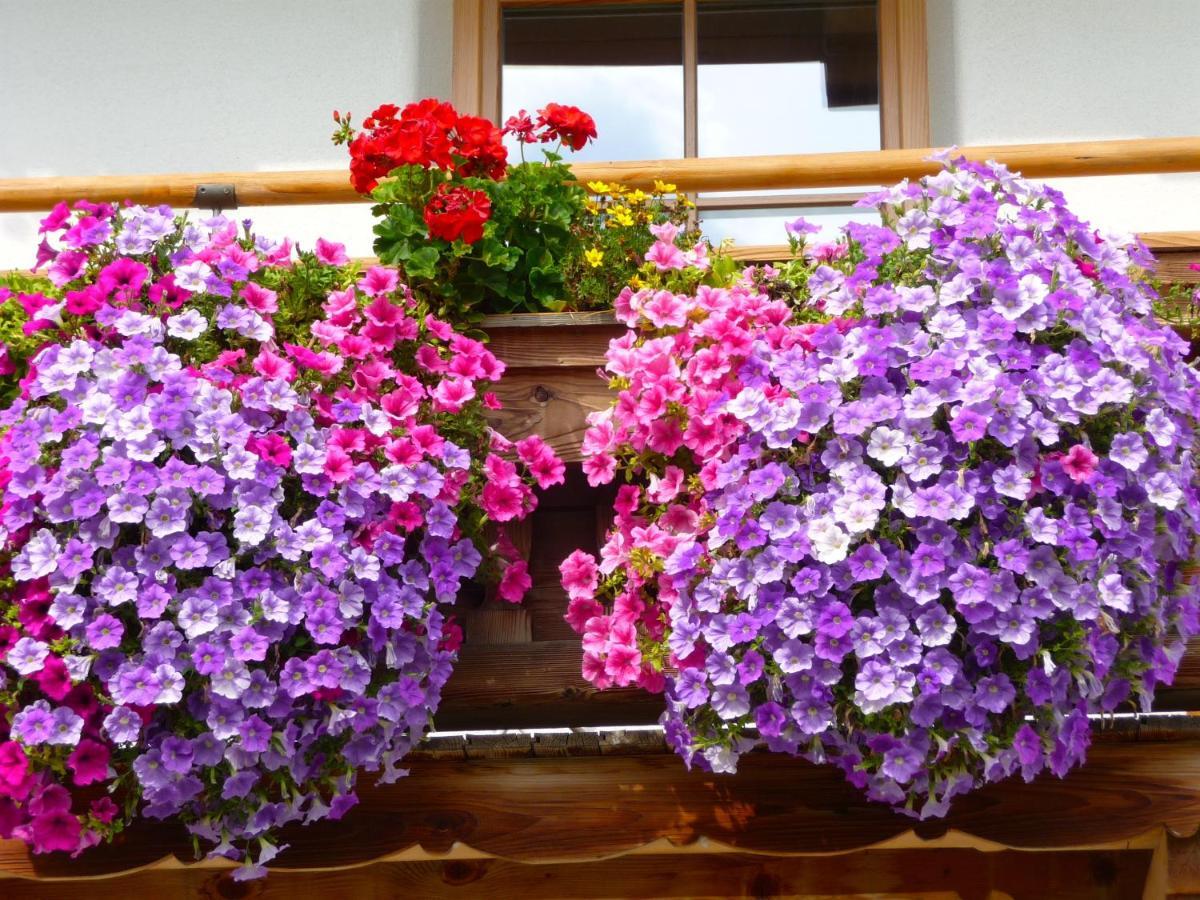 Ferienwohnung Huberhof Oberndorf in Tirol Esterno foto